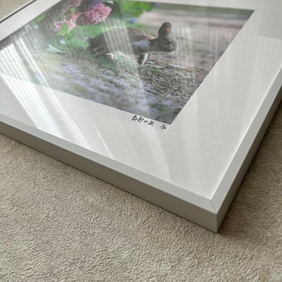 攝影藝術微噴原作 - 《起步》 1/50｜白色鋁框3