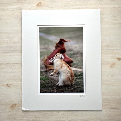 攝影藝術微噴福利品 - 091