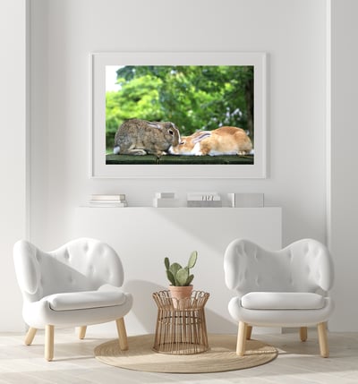 攝影藝術微噴原作 - 《親親》2