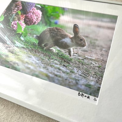 攝影藝術微噴原作 - 《起步》 1/50｜白色鋁框2