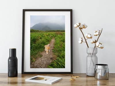 攝影藝術微噴原作 - 《未知局面》6