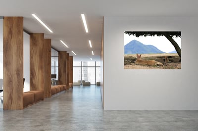 攝影藝術微噴原作 - 《悠然見南山》10