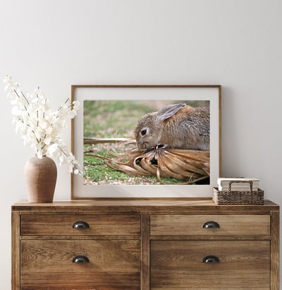 攝影藝術微噴原作 - 《得來不易的滋味》5