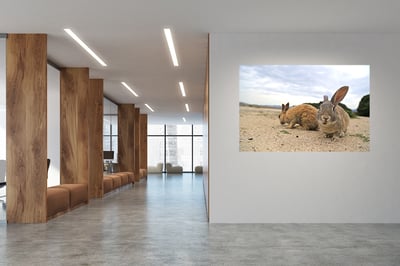 攝影藝術微噴原作 - 《化身為兔子後的對話》8