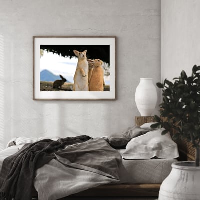 攝影藝術微噴原作 - 《眾生》6