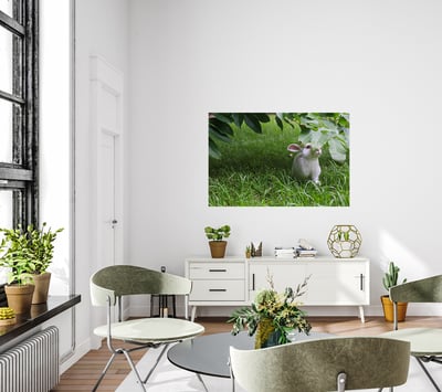 攝影藝術微噴原作 - 《夏日秘藏紅寶石》6