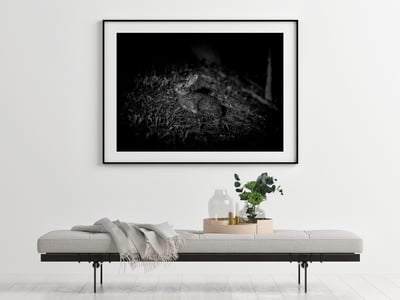 攝影藝術微噴原作 - 《台灣野兔01》9