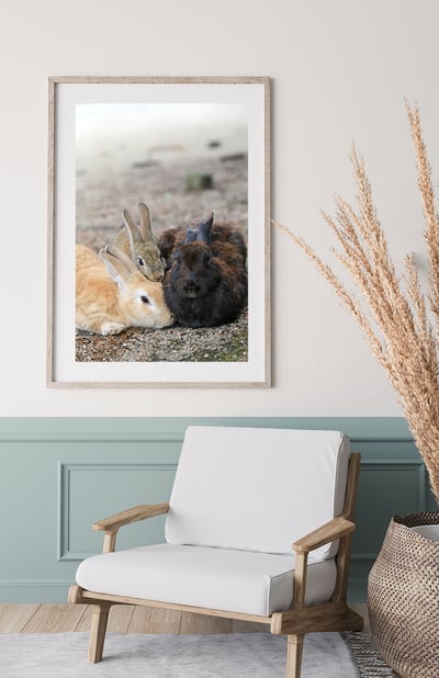 攝影藝術微噴原作 - 《全家福》8