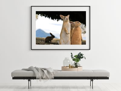 攝影藝術微噴原作 - 《眾生》5