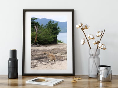 攝影藝術微噴原作 - 《隱身》5