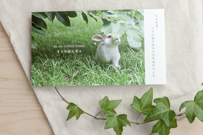 兔子攝影插畫明信片 - 《夏日秘藏紅寶石》2