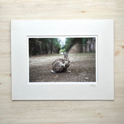 攝影藝術微噴福利品 - 121