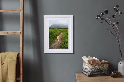 攝影藝術微噴原作 - 《未知局面》4