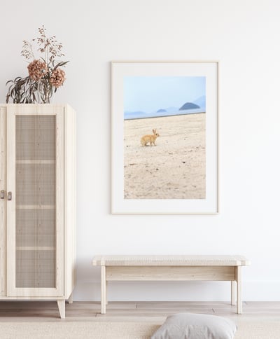 攝影藝術微噴原作 - 《沙灘上的兔子》6