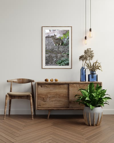 攝影藝術微噴原作 - 《樹梢的溫柔》5