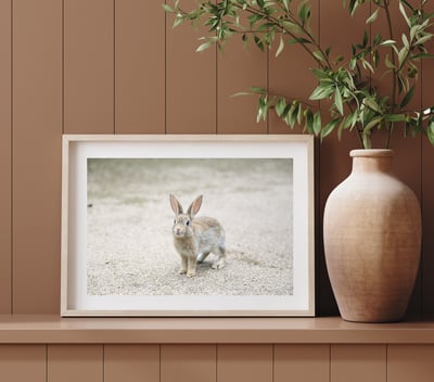 攝影藝術微噴原作 - 《萌》5