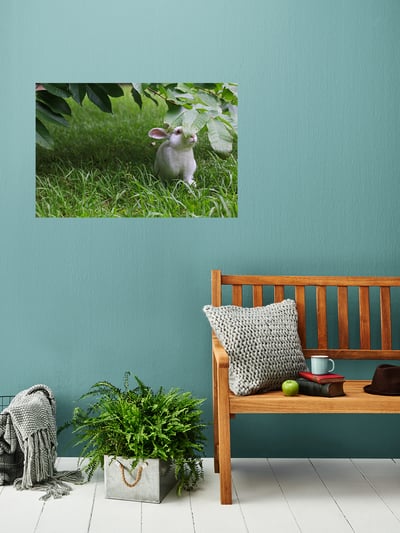 攝影藝術微噴原作 - 《夏日秘藏紅寶石》7