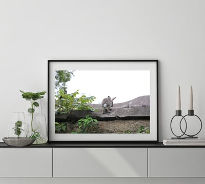 攝影藝術微噴原作 - 《越過疆界》4