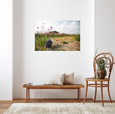 攝影藝術微噴原作 - 《雙蝶私語》6