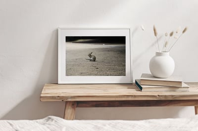 攝影藝術微噴原作 - 《獨舞》2