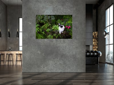 攝影藝術微噴原作 - 《絕美叢林》8