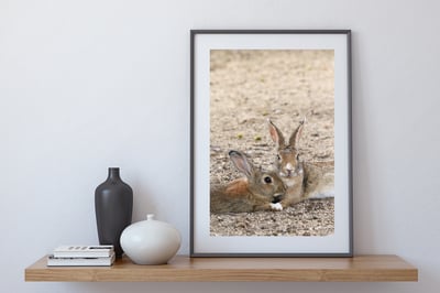 攝影藝術微噴原作 - 《守護》3