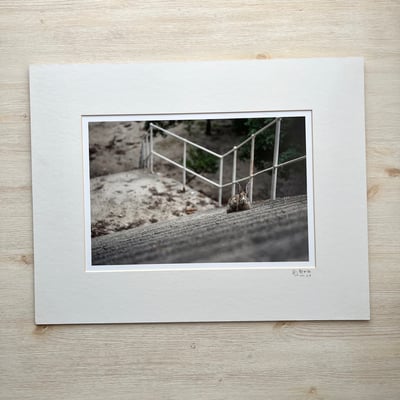 攝影藝術微噴福利品 - 071