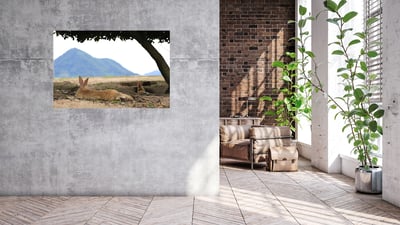 攝影藝術微噴原作 - 《悠然見南山》9