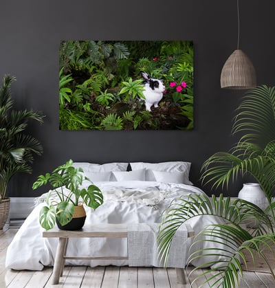 攝影藝術微噴原作 - 《絕美叢林》7