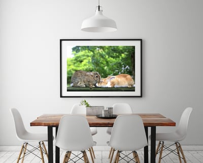 攝影藝術微噴原作 - 《親親》4