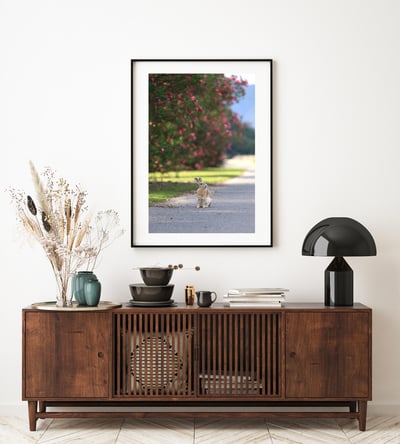 攝影藝術微噴原作 - 《目光之處》9