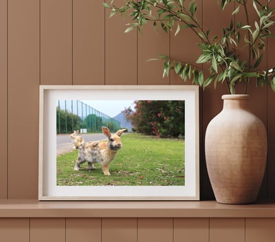 攝影藝術微噴原作 - 《天光》8