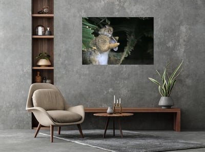 攝影藝術微噴原作 - 《嫵媚》7