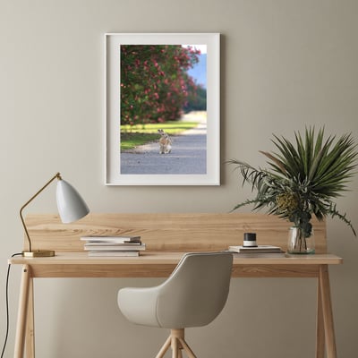 攝影藝術微噴原作 - 《目光之處》8