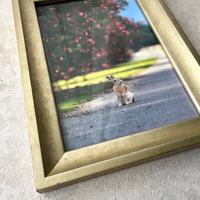 攝影藝術微噴原作 - 《目光之處》 7/50｜金色仿古框4