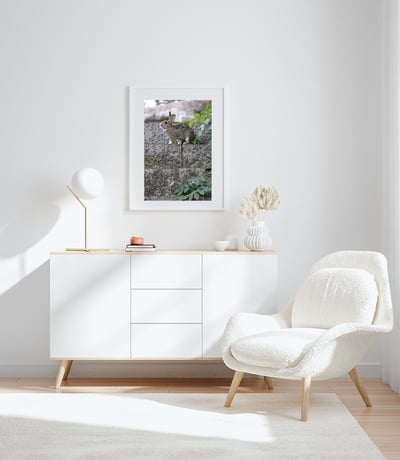 攝影藝術微噴原作 - 《樹梢的溫柔》8