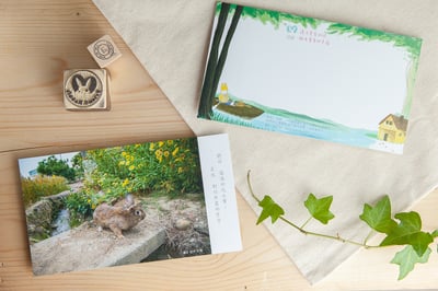 兔子攝影插畫明信片 - 《鄉村風情》1