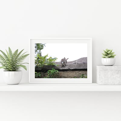 攝影藝術微噴原作 - 《越過疆界》1