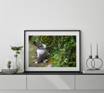 攝影藝術微噴原作 - 《藍色眼眸》2