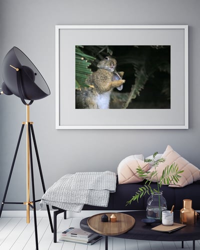 攝影藝術微噴原作 - 《嫵媚》4