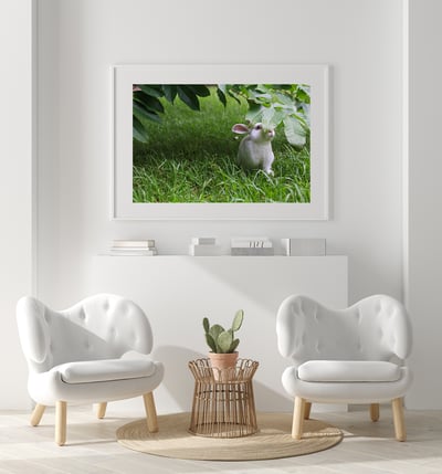 攝影藝術微噴原作 - 《夏日秘藏紅寶石》3