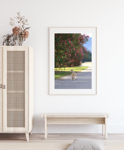 攝影藝術微噴原作 - 《目光之處》7