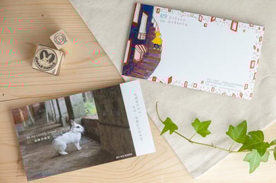 兔子攝影插畫明信片 - 《永恆的凝望》1