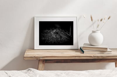 攝影藝術微噴原作 - 《台灣野兔01》3