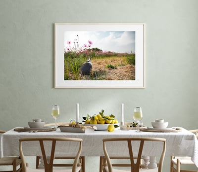 攝影藝術微噴原作 - 《雙蝶私語》5