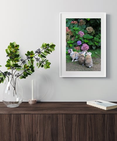 攝影藝術微噴原作 - 《觀望》3