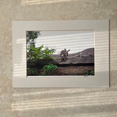 攝影藝術微噴原作 - 《越過疆界》1/501