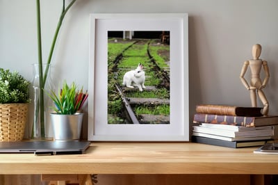 攝影藝術微噴原作 - 《決定》2