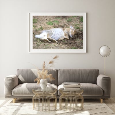 攝影藝術微噴原作 - 《甜夢》6