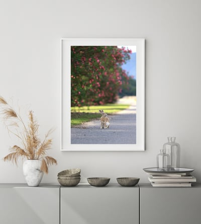 攝影藝術微噴原作 - 《目光之處》5